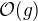 $\mathcal{O}(g)$
