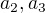 $a_{2},a_{3}$