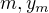 $m,\space y_m$