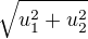 $\sqrt{u_{1}^2 +{u_{2}^2}}$