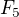 $F_{5}$