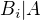 $B_{i}|A$