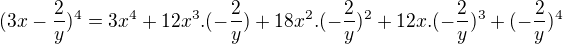 $(3x-\frac{2}{y})^{4}=3x^{4}+12x^{3}.(-\frac{2}{y})+18x^{2}.(-\frac{2}{y})^{2}+12x.(-\frac{2}{y})^{3}+(-\frac{2}{y})^{4}$