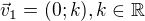 $\vec{v}_1=(0;k),k\in \mathbb{R}$