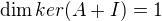 $\dim ker(A+I)=1$