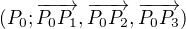 $( P_0 ; \overrightarrow {P_0P_1},\overrightarrow {P_0 P_2},\overrightarrow {P_0 P_3})$