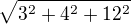 $\sqrt{3^2+4^2+12^2}$