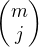 $\begin{pmatrix}m\\j\end{pmatrix}$