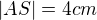 $|AS|=4cm$