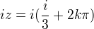$iz=i(\frac{i}{3}+2k\pi)$