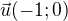 $\vec u(-1;0)$