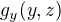 $g_{y}(y,z)$