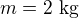 $m = 2\text{ kg}$