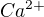 $Ca^{2+}$