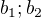 $b_{1}; b_{2}$