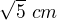 $\sqrt{5} \ cm$