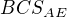 $BCS_{AE}$