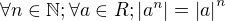 $\forall n\in\mathbb{N};\forall a\in R;\left|a^n\right|=\left|a\right|^n$