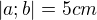 $|a;b|=5cm$