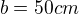 $b = 50 cm$