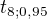 $t_{8;0,95}$