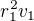 $r_1^2 v_1$
