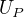 $U_{P}$