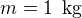 $m=1\enspace \text{kg}$