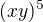$(xy)^{5}$