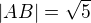 $|AB|=\sqrt{5}$