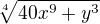 $ \sqrt[4]{40 x^9+y^3}$