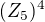 $(Z_{5})^{4}$