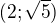 $(2;\sqrt{5})$