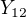 $Y_{12}$