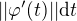 $||\varphi'(t)||\textrm{d}t$