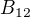 $B_{12}$
