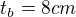 $t_{b}=8 cm$