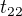 $t_{22}$