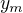 $y_{m}$