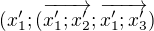 $(x'_1; (\overrightarrow{x'_1;x'_2};\overrightarrow{x'_1;x'_3})$
