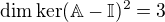 $\dim\ker(\mathbb{A}-\mathbb{I})^2=3$