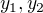 $y_{1}, y_{2}$