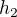 $h_{2}$