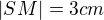 $|SM|=3 cm$