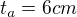 $t_{a}=6 cm$