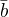 $\bar{b}$