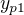 $y_{p1}$