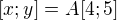 $[x; y] = A[4; 5]$
