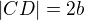 $|CD|=2b$