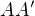 $AA^{\prime}$
